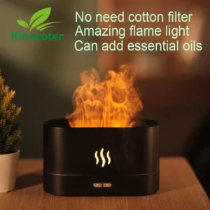 Aroma Diffuser Air Humidifier
